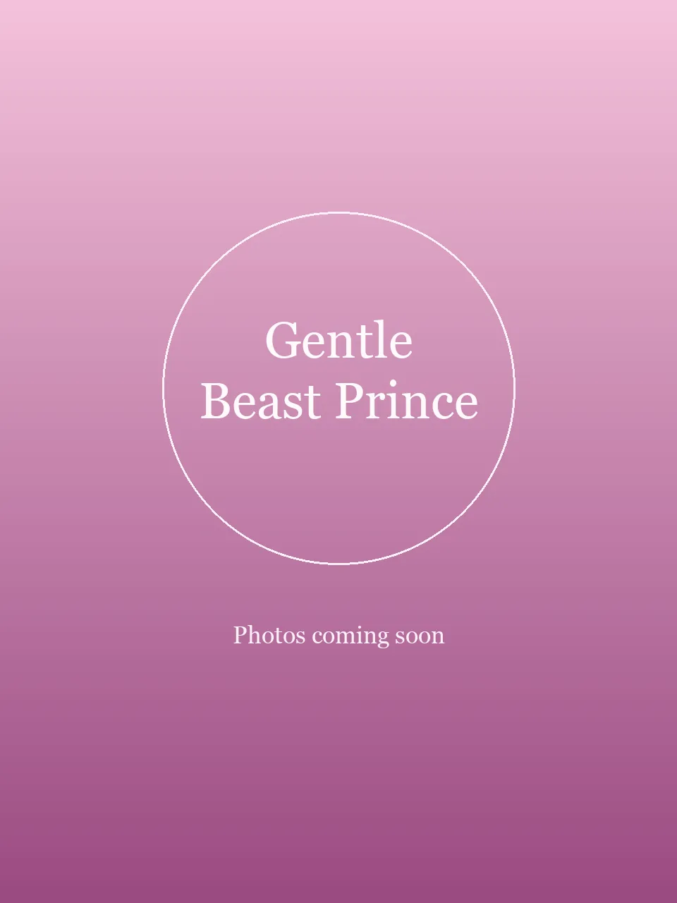 Gentle Beast Prince party character in Miami