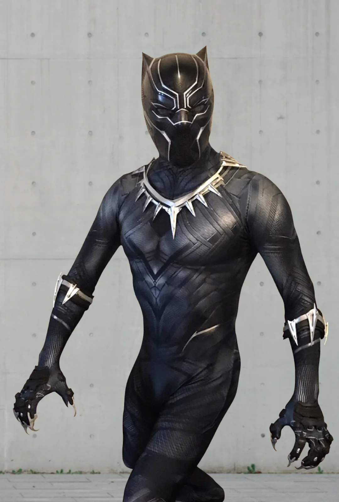 Panther Hero party character in Miami