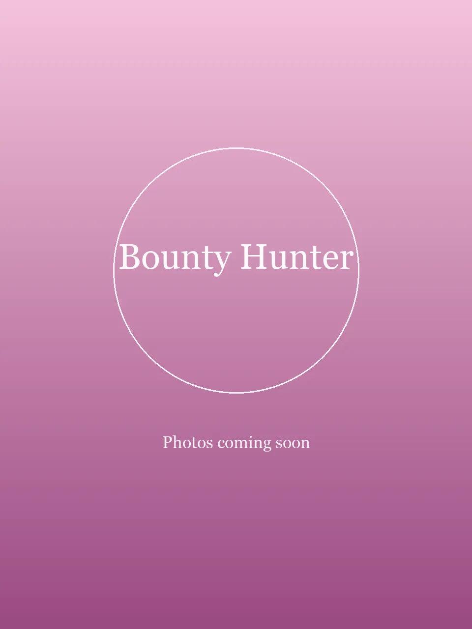Bounty Hunter party character in Miami