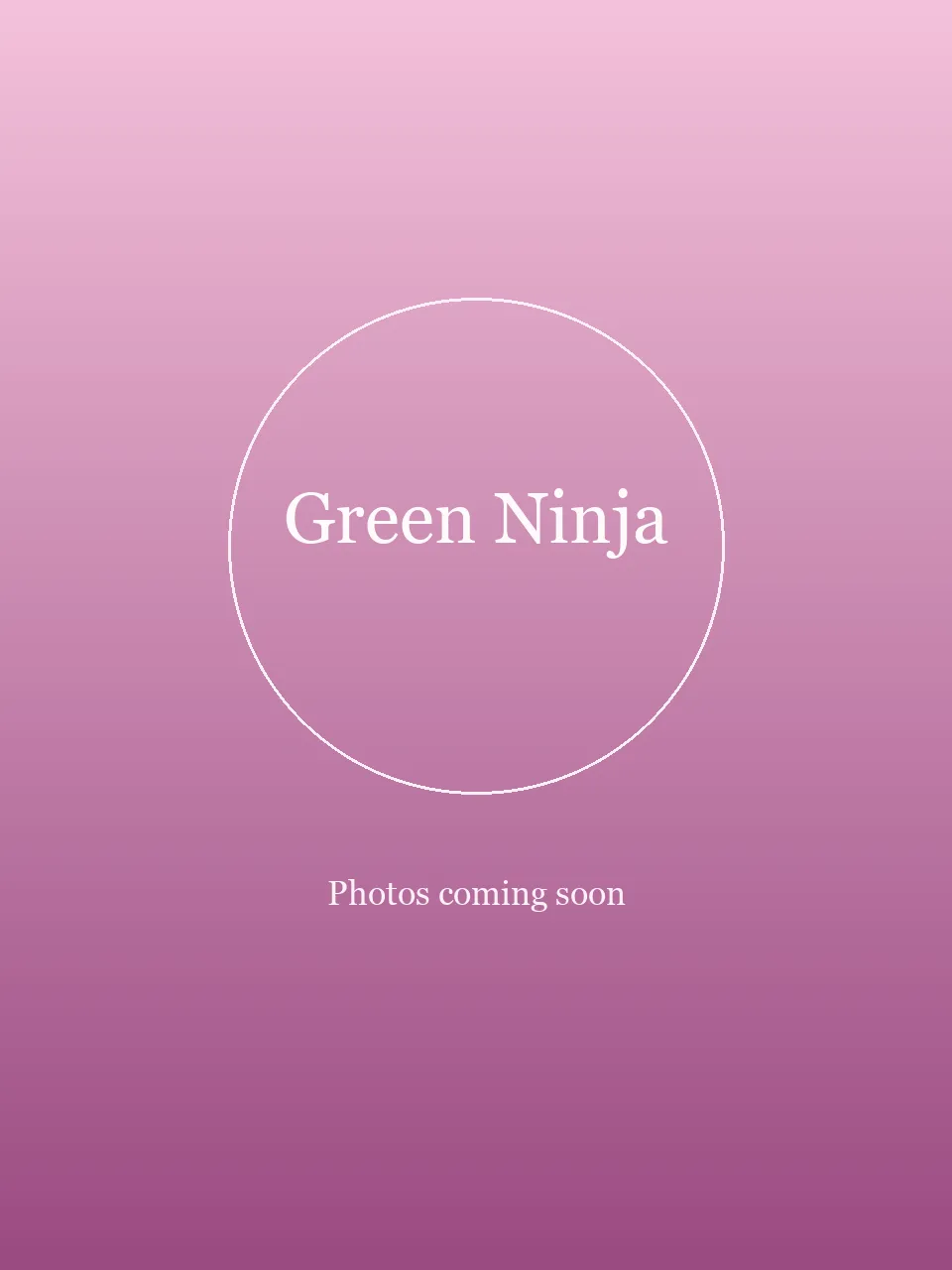 Green Ninja party character in Miami