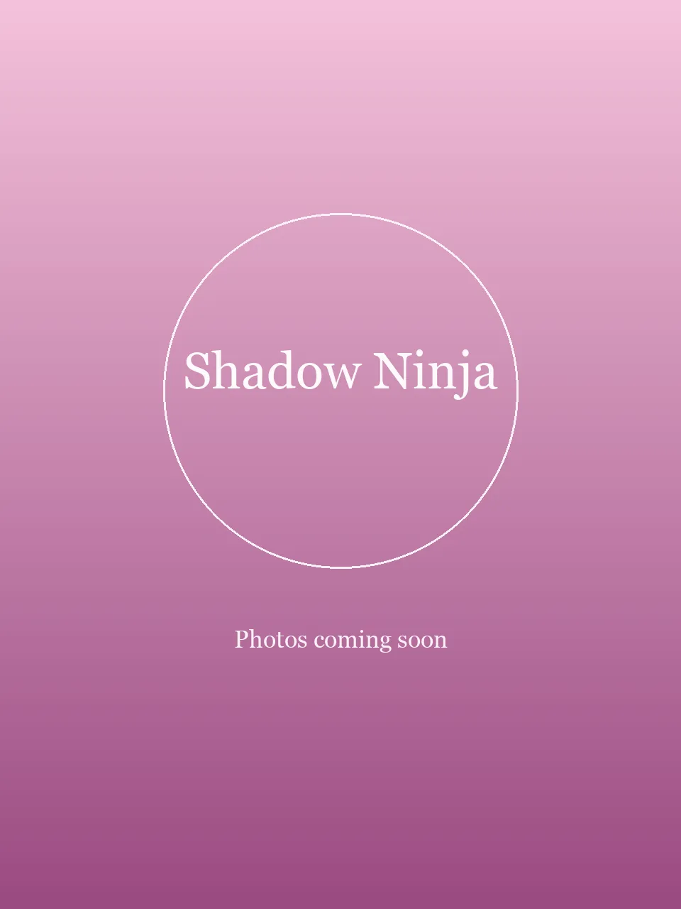 Shadow Ninja party character in Miami