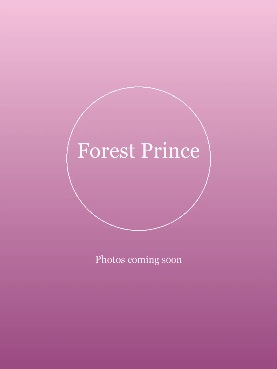 Forest Prince party character in Miami