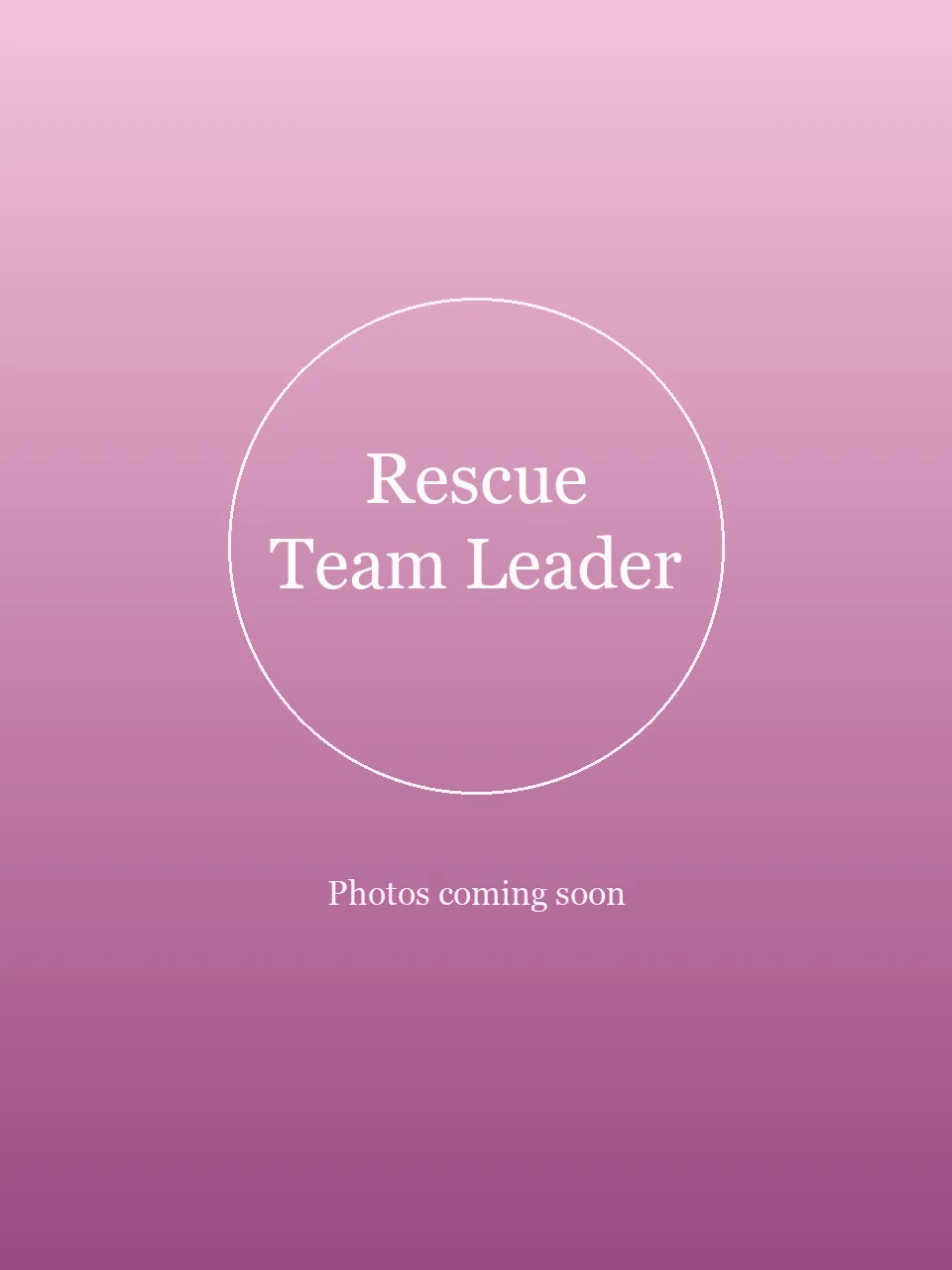 Rescue Team Leader party character in Miami
